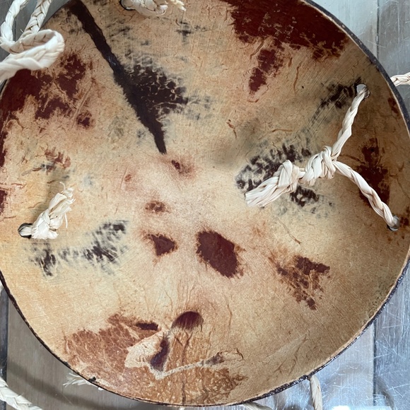 Like New Real Coconut Shell Bikini Top Costume - Picture 2 of 5